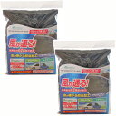 割引クーポン配布中 あす楽 風が通る! ウィンドーネット フロントドア用2枚セット 虫の侵入を防ぐ防虫加工 防災用具にも最適 暑さ対策 車用簡易網戸 虫よけ 虫...