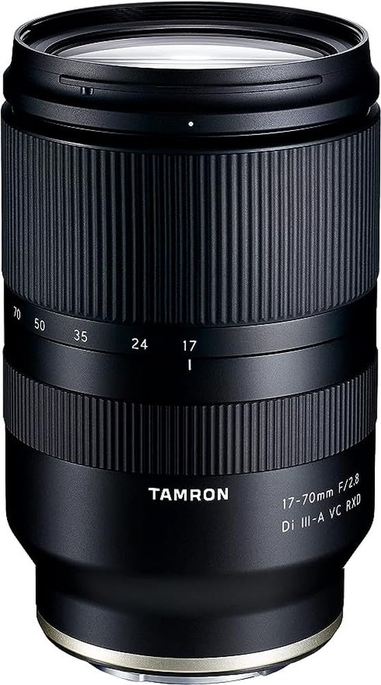 TAMRON ズーム 17-70mm F/2.8 Di III-A VC RXD (Model B070) ソニー E対応