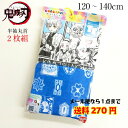 【130cmのみ】 肌着 鬼滅の刃 インナー 半袖 丸首 2枚組 公式 グッズ 子供 キッズ キャラクター 120 130 140【2点までメール便可能】