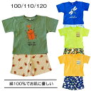 綿100％ 子供 パジャマ 半袖 ハーフパンツ セット 100 110 120 キッズ 昆虫柄 カブトムシ トンボ カマキリ こども ルームウェア 夏