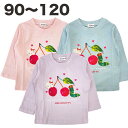はらぺこあおむし ハローキティ 長袖 Tシャツ 綿100% サンリオ 春 秋 子供 服 女の子 キャラクター グッズ ベビー キッズ 絵本 90 100 110 120【3点までメール便可】