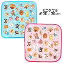 アンパンマン ミニタオル プチタオル ブルー ピンク 約25×25cm 入園 バンダイ キャラクター グッズ【10点までメール便可】