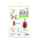 夏休み 工作 アーテック プラ板でつくる昆虫図鑑 カブトムシ ノコギリクワガタ ナミアゲハ オニヤンマ 工作キット 自由工作 小学生 055904【10点までメ...
