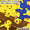 ポケットモンスター ポケモン ピカチュウ オックス生地 50cmカットクロス 約110×50cm 綿100% 日本製 キャラクター プリント 入園入学【4点までメール便可】
