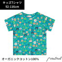 キッズ Tシャツ 半袖 動物 森 Piccalilly 男の子 女の子 ブルー グリーン オーガニックコットン 綿 インポート ブランド 子供 子ども おしゃれ こども 90 95 100 110 120cm お揃い おそろい 夏 夏服