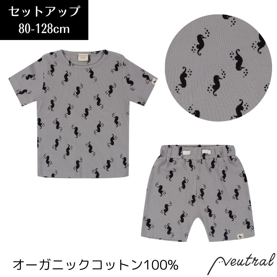 キッズ セットアップ たつのおとしご Turtledove London 男の子 女の子 ベビー 上下セット オーガニックコットン Tシャツ インポート ショートパンツ ブランド 綿100% ギフト かわいい おしゃれ お揃い 80 90 95 100 110 120 130cm