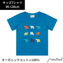 キッズ Tシャツ 半袖 Piccalilly くま クマ オーガニックコットン 綿 ブルー ネイビー インポート ブランド 子供 子ども こども おしゃれ かわいい お揃い プレゼント ギフト 95 100 110 120 130cm