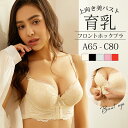 ブラジャー レディース ブラ フロントホック 育乳 脇高 谷間 盛れる レース 補正 補正下着 下着 バストアップ ワイヤー インナー 可愛い メール便のみ送料...