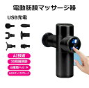 2024 進化版 筋膜リリース 電動 ハンディマッサージャー 筋膜リリース マッサージガン USB充電 電動マッサージ器 30段階調節可能 6種類ヘッド 強力振動 軽量 肩 こり 腰こり 背中 筋肉痛み 足 身体 筋膜リリース機器 高周波マッサージ機 自宅 職場 ジム 車 筋肉疲労回復(2)