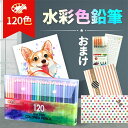 水彩色鉛筆 120色 アートセット 大人の塗り絵 ファーバーカステル 文房具 色鉛筆 お絵かきセット お絵描きセット 絵の具セット 入学祝い 子供 プレゼント ...