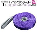 ナイロンスリングベルト 耐荷重1.0t×3m 幅25mm 2本セット / 玉掛け 吊上げ ロープ 牽引