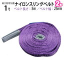 ナイロンスリングベルト 耐荷重1.0t×5m 幅25mm 2本セット / 玉掛け 吊上げ ロープ 牽引