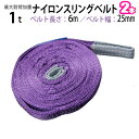 ナイロンスリングベルト 耐荷重1.0t×6m 幅25mm 2本セット / 玉掛け 吊上げ ロープ 牽引