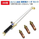 酸素溶断機用 トーチ300型用火口3点セット 切断幅100mm-250mm 防爆仕様 アセチレンガス不要ガソリン溶断機用 火口 300型