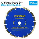 ダイヤモンドカッター 250mm セグメント 乾湿両用 コンクリート 切断 切削 ダイヤモンド 刃 ブロック タイル レンガ