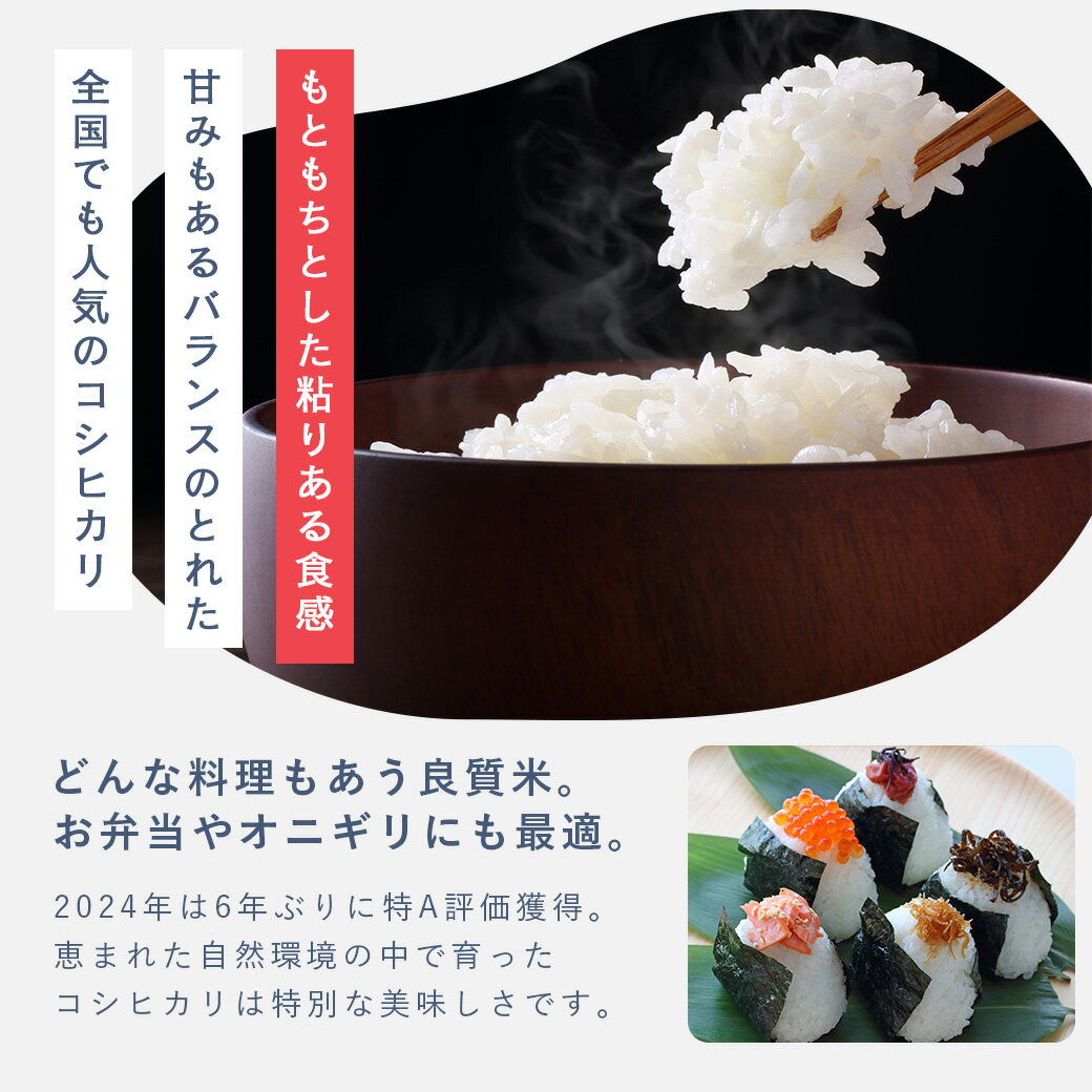 【令和7年産】 無洗米 10kg 令和7年産 送料無料 コシヒカリ 富山県産 米 コメ こめ...