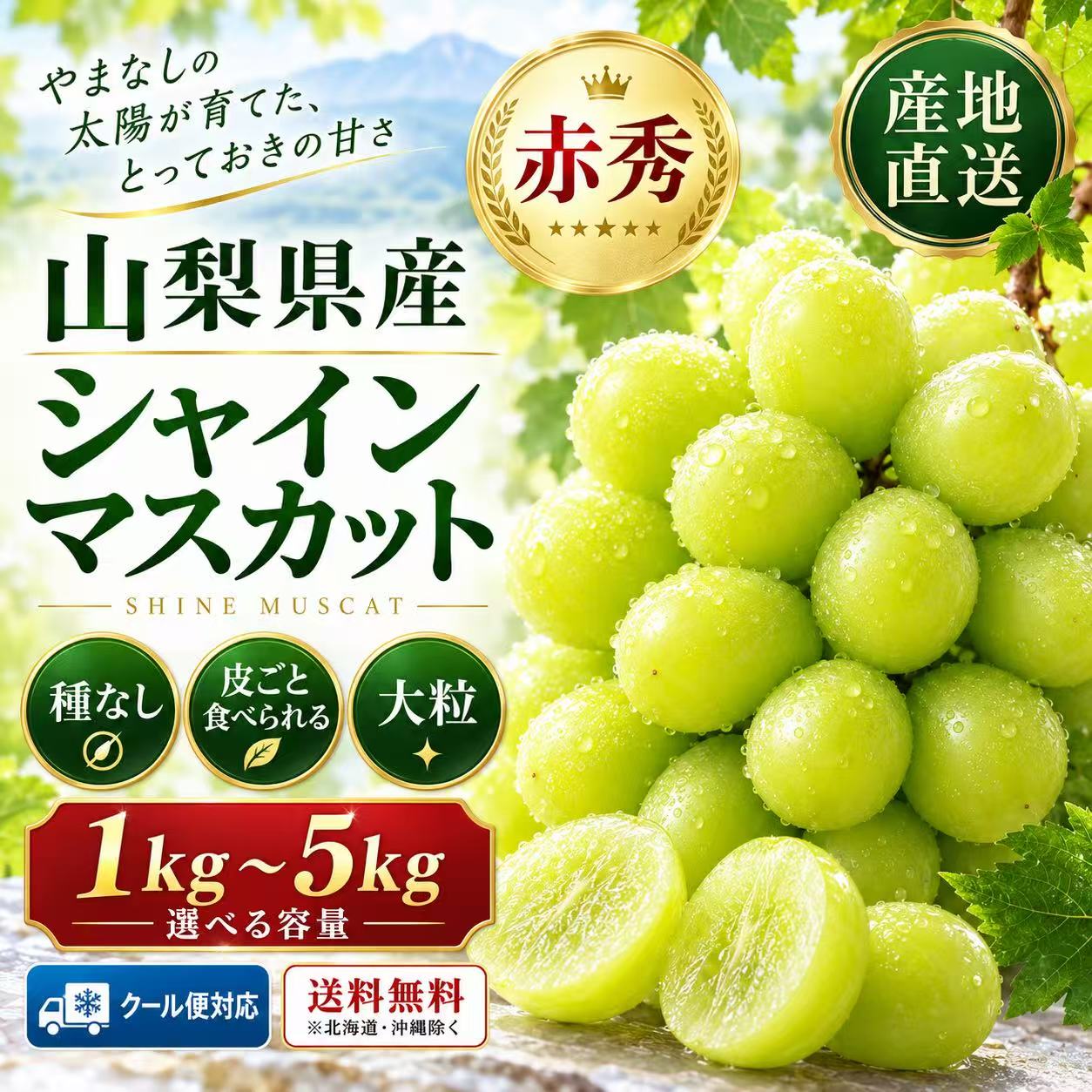 楽天市場】シャインマスカット 5kgの通販