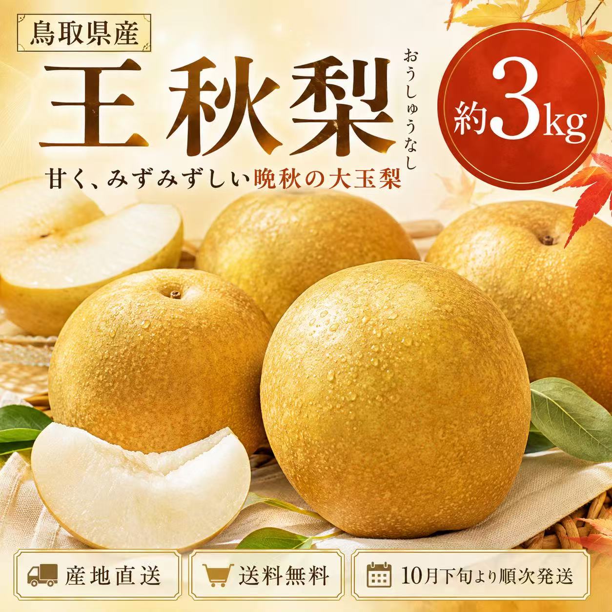 【10月下旬より順次発送】鳥取県産 王秋梨 約3kg 送料無料 産地直送 先行予約 大玉 おうしゅう梨 晩生梨 甘くみずみずしい 和梨 ギフト お歳暮 贈答用 自宅用