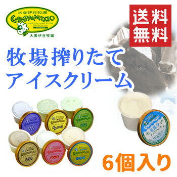 手作りアイスクリームギフトセット120ml×6個入り カンパナッチョ(大美伊豆牧場アイス 産地直送 静岡県 搾りたて 100%天然アイス 牛乳 美味しい デザート お取り寄せスイーツ 産直ギフト)