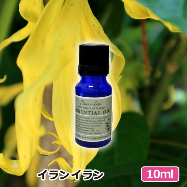 アロマオイル イランイラン 10ml AEAJ