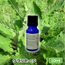 アロマオイル クラリセージ 10ml AEAJ