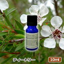 アロマオイル ティートリー 10ml AEAJ