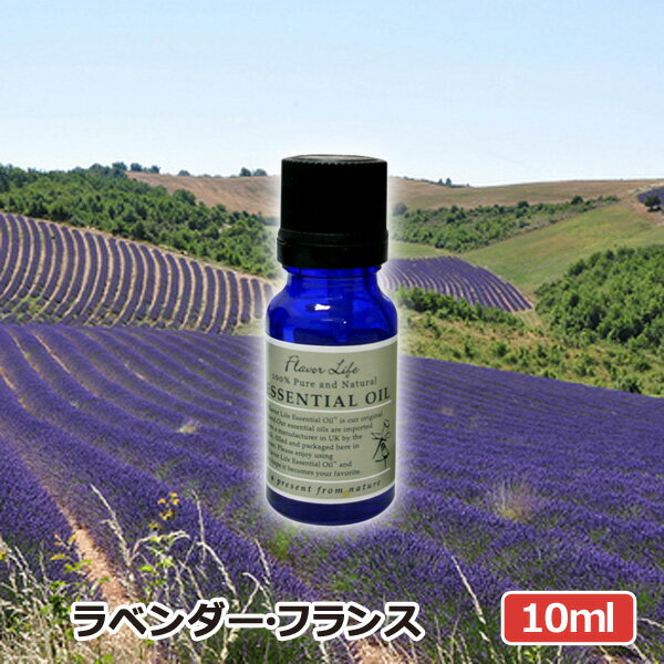 アロマオイル ラベンダーフランス 10ml ラベンダーフレンチ AEAJ表示基準適合認定精油 高品質 エッセンシャルオイル 精油 アロマオイル 人気 アロマテラピー 香り フレーバーライフ 癒し アロマグッズのサムネイル