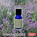 アロマオイル ラベンダーブルガリア 10ml ラベンダーブルガリアン AEAJ表示基準適合認定精油 高品質 エッセンシャルオイル 精油 アロマオイル 人気 アロマテラピー 香り フレーバーライフ 癒し アロマグッズ