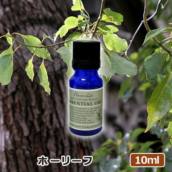 アロマオイル ホーリーフ 10ml AEAJ表