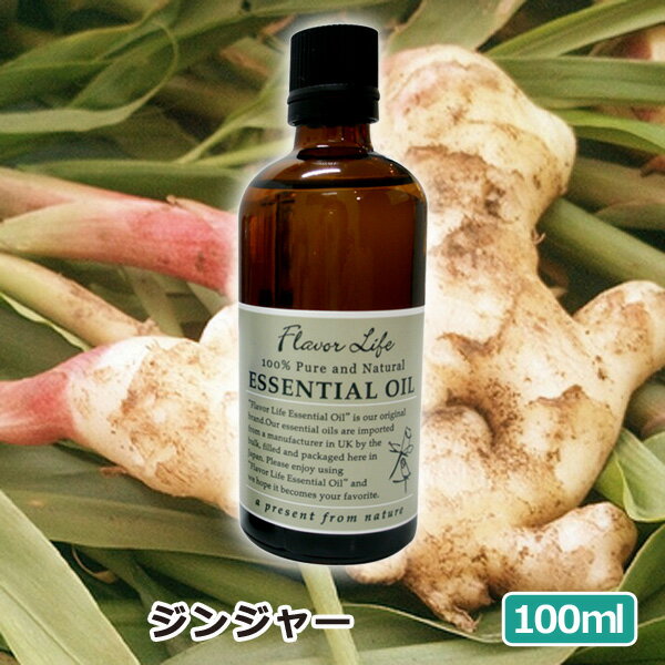 アロマオイル ジンジャー 100ml スパ