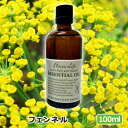 アロマオイル フェンネル 100ml AEAJ表