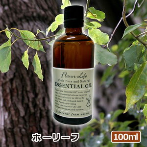 アロマオイル ホーリーフ 100ml AEAJ表示基準適合認定精油 高品質 エッセンシャルオイル 精油 アロマオイル 人気 アロマテラピー 香り フレーバーライフ 癒し アロマグッズ