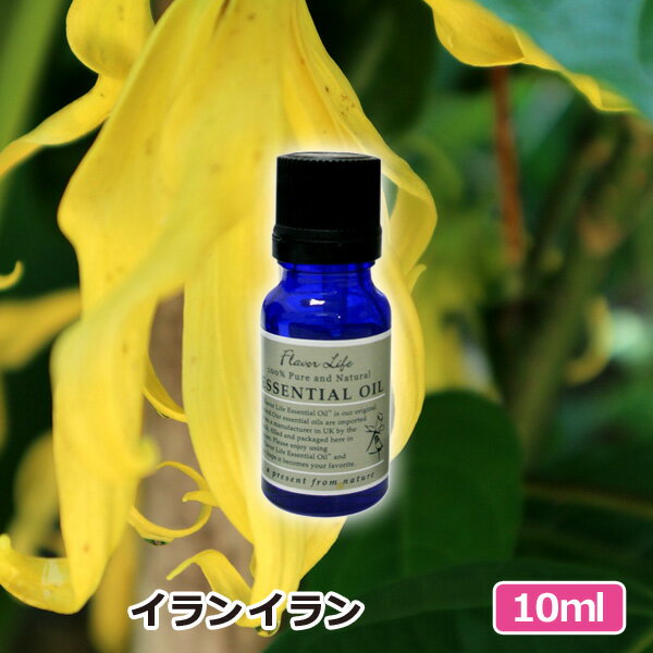 アロマオイル イランイラン 10ml AEAJ表示基準適合認定精油 高品質 エッセンシャルオイル 精油 アロマオイル 人気 アロマテラピー 香り フレーバーライフ 癒し アロマグッズ お返し 新生活応援フェア 39ショップ買いまわり 39ショップ買い回り クーポン配布中