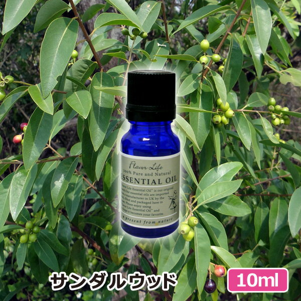 アロマオイル サンダルウッド 10ml AE