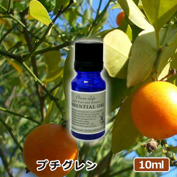 アロマオイル プチグレン 10ml AEAJ表示基準適合認定精油 高品質 エッセンシャルオイル 精油 アロマオイル 人気 アロマテラピー 香り フレーバーライフ 癒し アロマグッズ お返し 新生活応援フェア 39ショップ買いまわり 39ショップ買い回り クーポン配布中のサムネイル