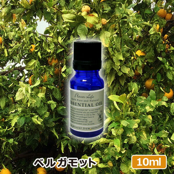 アロマオイル ベルガモット 10ml AEAJ表示基準適合認定精油 高品質 エッセンシャルオイル 精油 アロマオイル 人気 アロマテラピー 香り フレーバーライフ 癒し アロマグッズ お返し 新生活応援フェア 39ショップ買いまわり 39ショップ買い回り クーポン配布中のサムネイル