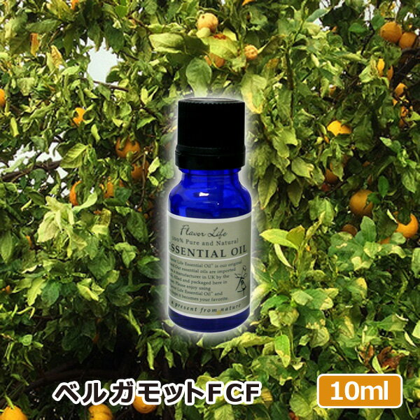アロマオイル ベルガモットFCF 10ml AEAJ表示基準適合認定精油 高品質 エッセンシャルオイル 精油 アロマオイル 人気 アロマテラピー 香り フレーバーライフ 癒し アロマグッズ お返し 新生活応援フェア 39ショップ買いまわり 39ショップ買い回り クーポン配布中のサムネイル