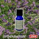 アロマオイル ラバンディングロッソ 10ml ラベンダー AEAJ表示基準適合認定精油 高品質 エッセンシャルオイル 精油 アロマオイル 人気 アロマテラピー 香り フレーバーライフ 癒し アロマグッズ お返し 新生活応援フェア クーポン配布中(4)