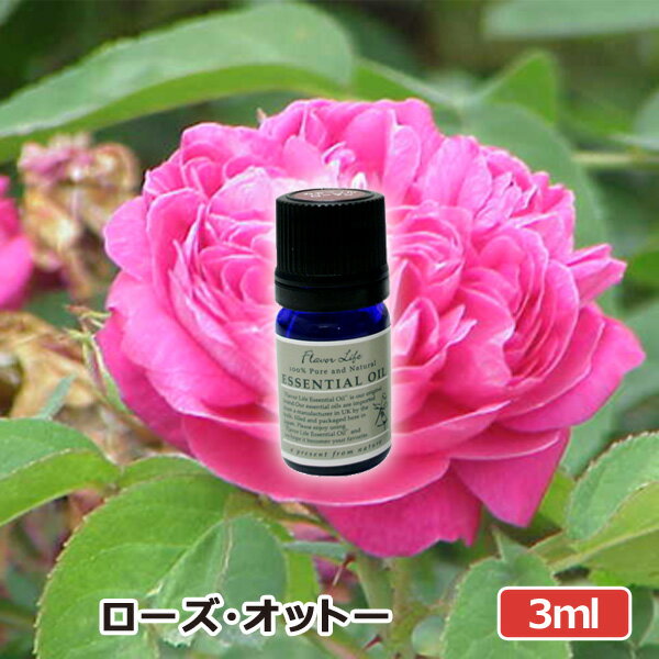 アロマオイル ローズオットー 3ml AEA