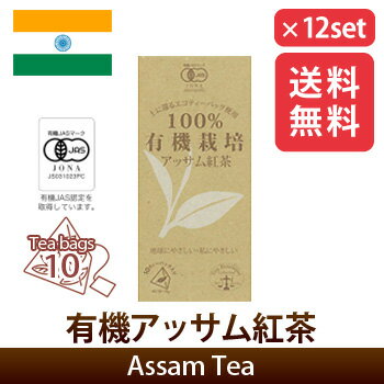 アッサム紅茶 100%有機栽培紅茶 12箱