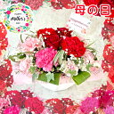 2024年 遅れてごめんね 母の日ギフト 生花アレンジメント カーネーション&バラ ナコレオリジナル mother'sday 生花 贈り物 贈答品 おしゃれ 赤...