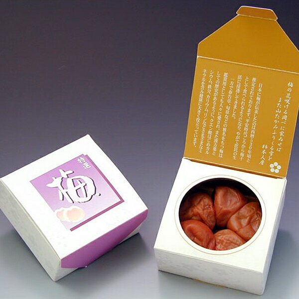 梅干しギフト 梅小箱 紀の恵 100g 10個セット 内祝い 結婚内祝い 出産内祝い 新築祝い 景品 結婚祝い 引き出物 香典返し ギフト 贈答品 贈り物 お返し 快気祝い 39ショップ買いまわり 39ショップ買い回り クーポン配布中