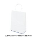 紙袋 白無地 正面巾22cm×マチ巾10cm×高さ30cm 白色 手提げ袋 無地 シンプル結婚式 手提げ袋 内祝い 結婚内祝い 出産内祝い 結婚祝い 引き出物 ...