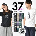 Tシャツ メンズ 半袖 綿100% コットン 大きいサイズ tシャツ 送料無料 プリント 男女兼用 レディース 転写 ユニセックス クルーネック ティーシャツ ...