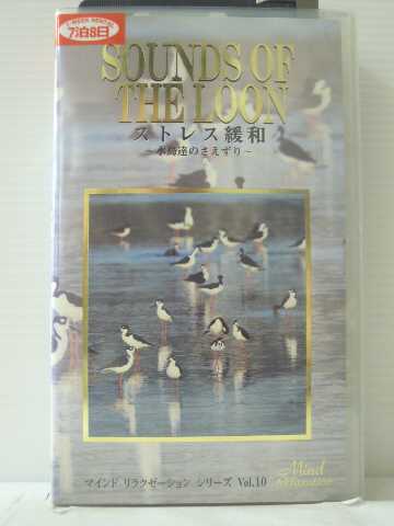 r1_84454 【中古】【VHSビデオ】ストレス緩和 水鳥達のさえずり [VHS] [VHS] [1995]