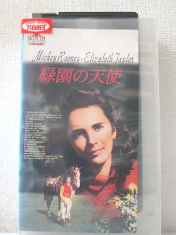 r1_95909 šۡVHSӥǥбŷ [VHS] [VHS] [1993]
