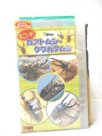 r2_16685 【中古】【VHSビデオ】すごいぞ! カブトムシ・クワガタムシ [VHS] [VHS] [2004]