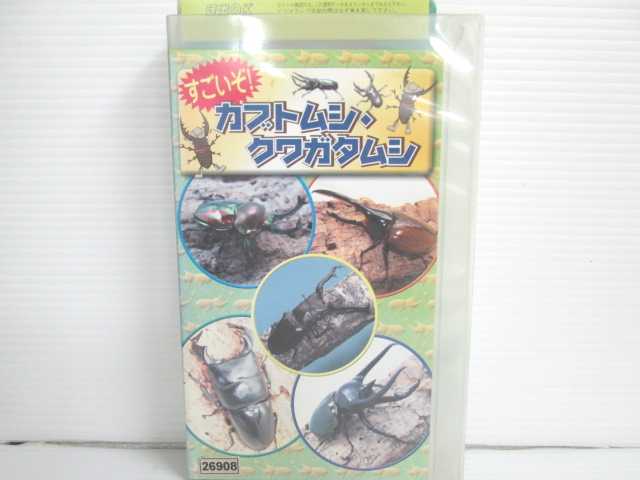 r2_17514 【中古】【VHSビデオ】すごいぞ! カブトムシ・クワガタムシ [VHS] [VHS] [2004]