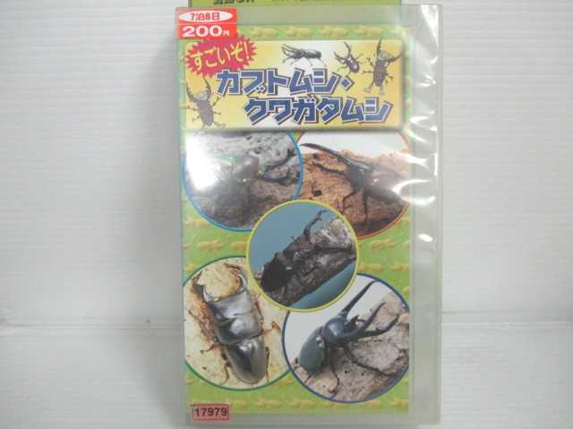 r2_21152 【中古】【VHSビデオ】すごいぞ! カブトムシ・クワガタムシ [VHS] [VHS] [2004]