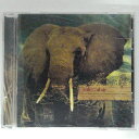 ZC11355【中古】【CD】and our heart beat in our fingertips, without reason/anterrabae(輸...
